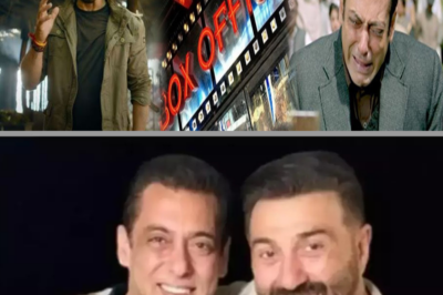 After Jaat Breaks Records, Salman Khan Decides to Step Away from the Industry